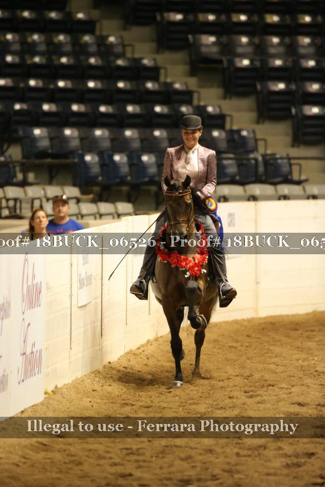 Proof 18BUCK_06526