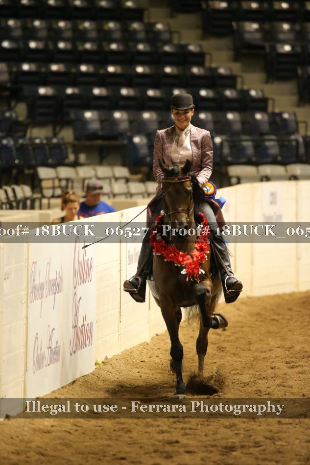 Proof 18BUCK_06527
