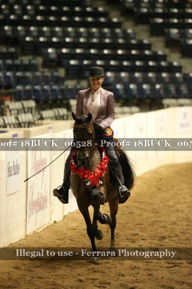 Proof 18BUCK_06528