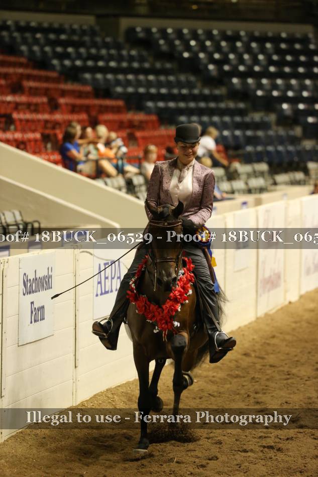 Proof 18BUCK_06529