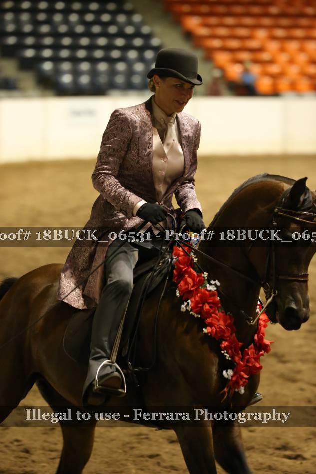 Proof 18BUCK_06531