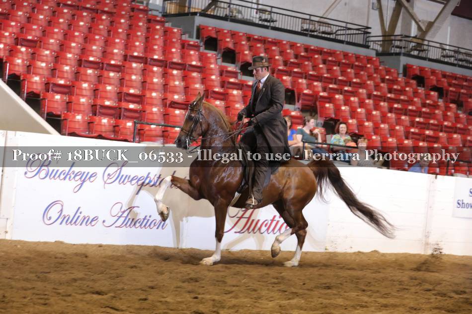 Proof 18BUCK_06533
