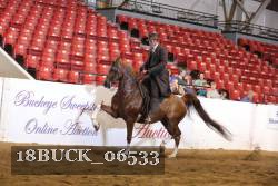 18BUCK_06533 proof