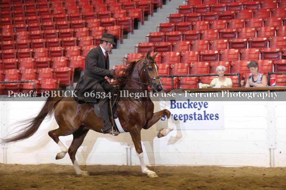 Proof 18BUCK_06534