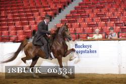 18BUCK_06534 proof