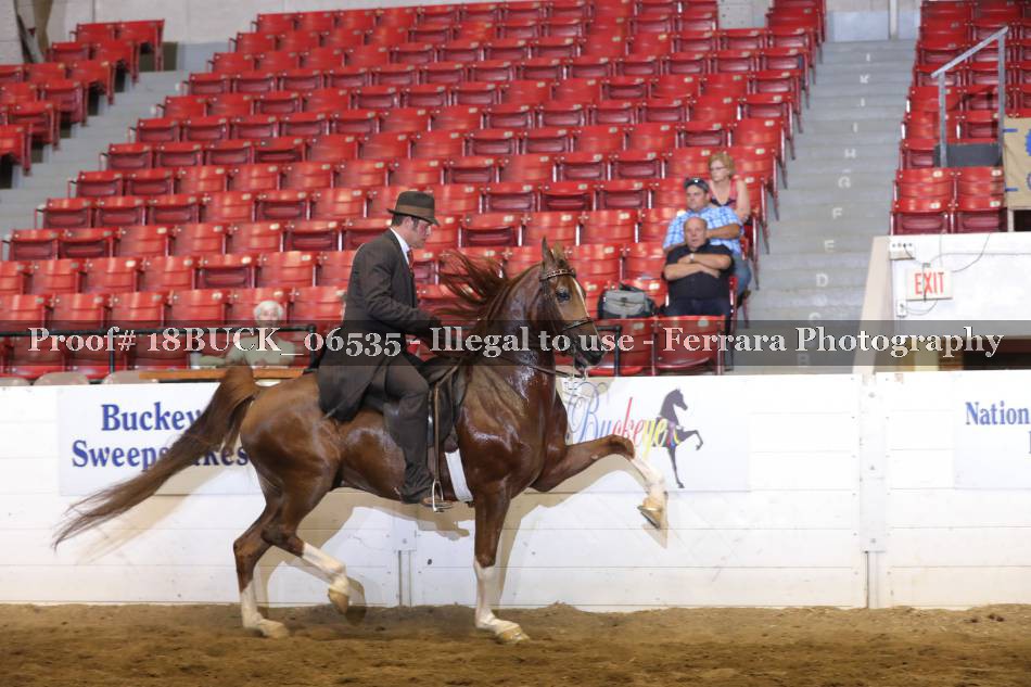 Proof 18BUCK_06535