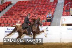 18BUCK_06535 proof