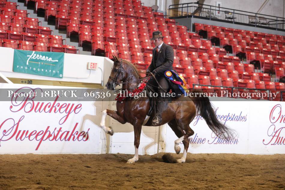 Proof 18BUCK_06536