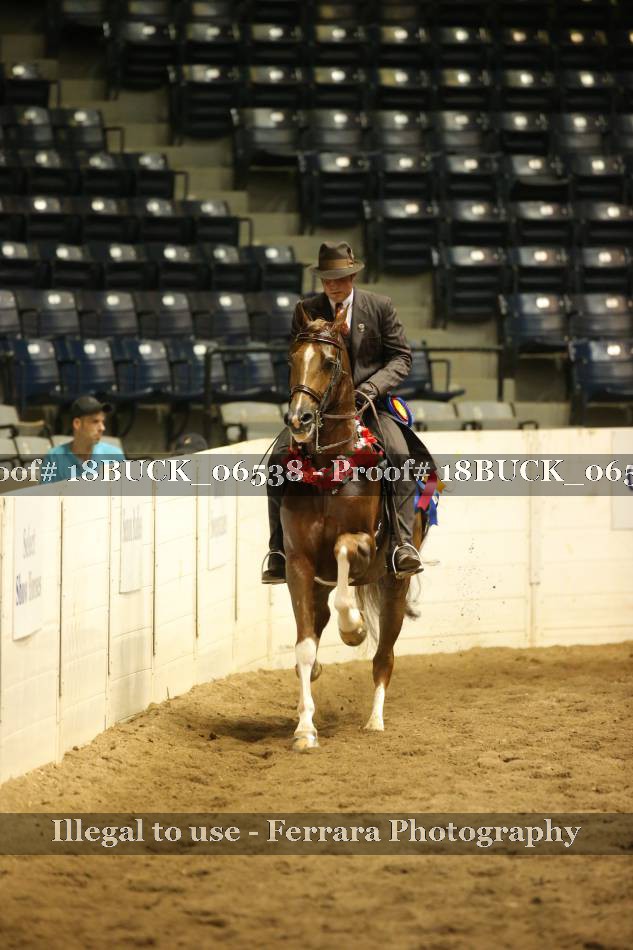 Proof 18BUCK_06538