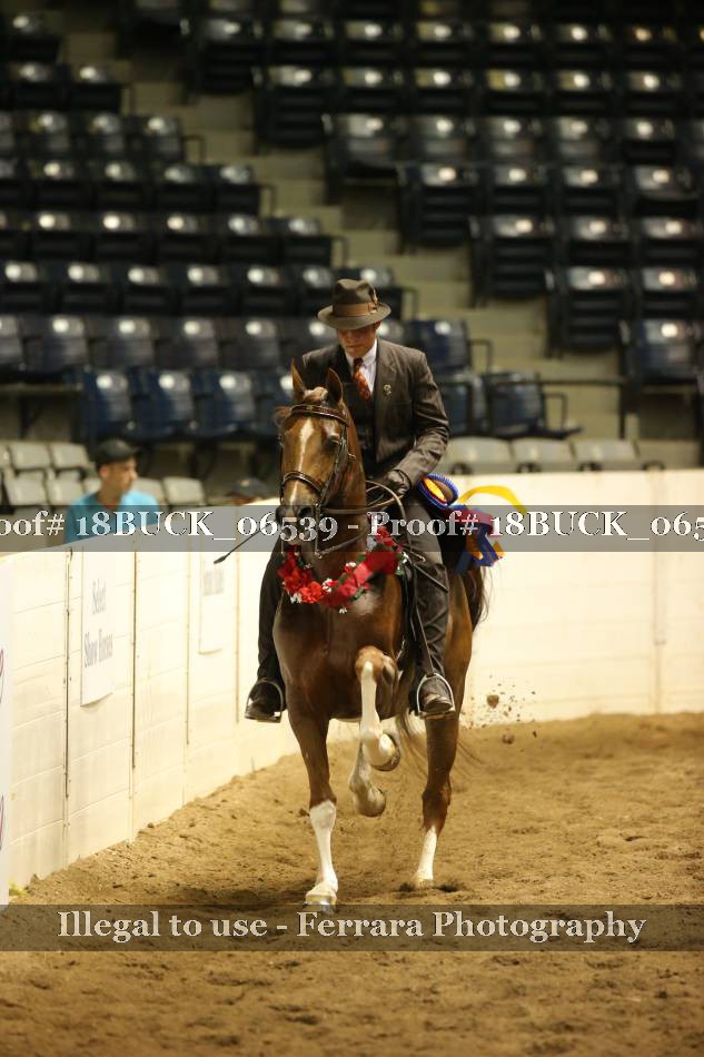 Proof 18BUCK_06539