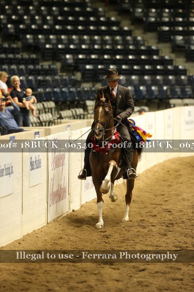 Proof 18BUCK_06540