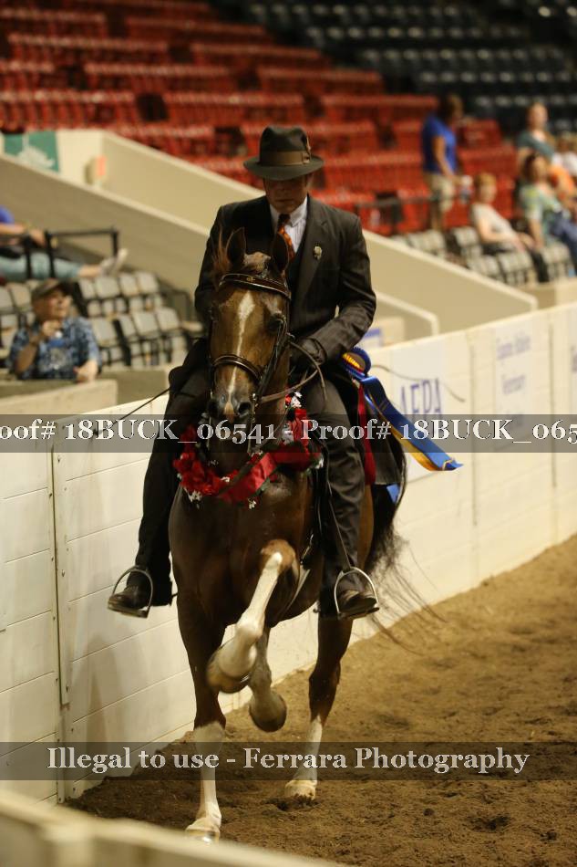 Proof 18BUCK_06541