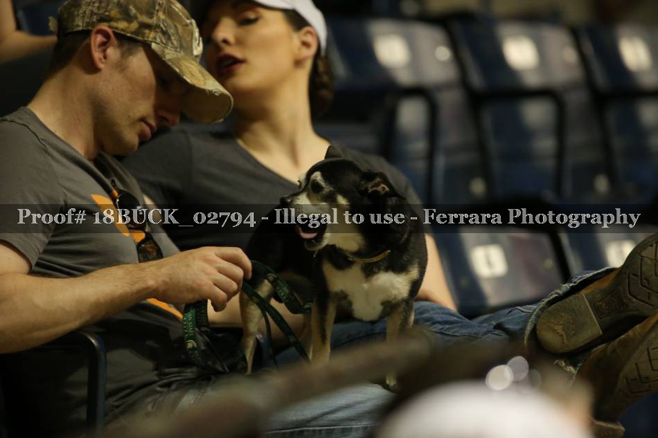 Proof 18BUCK_02794
