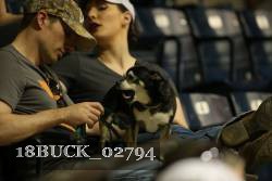 18BUCK_02794 proof