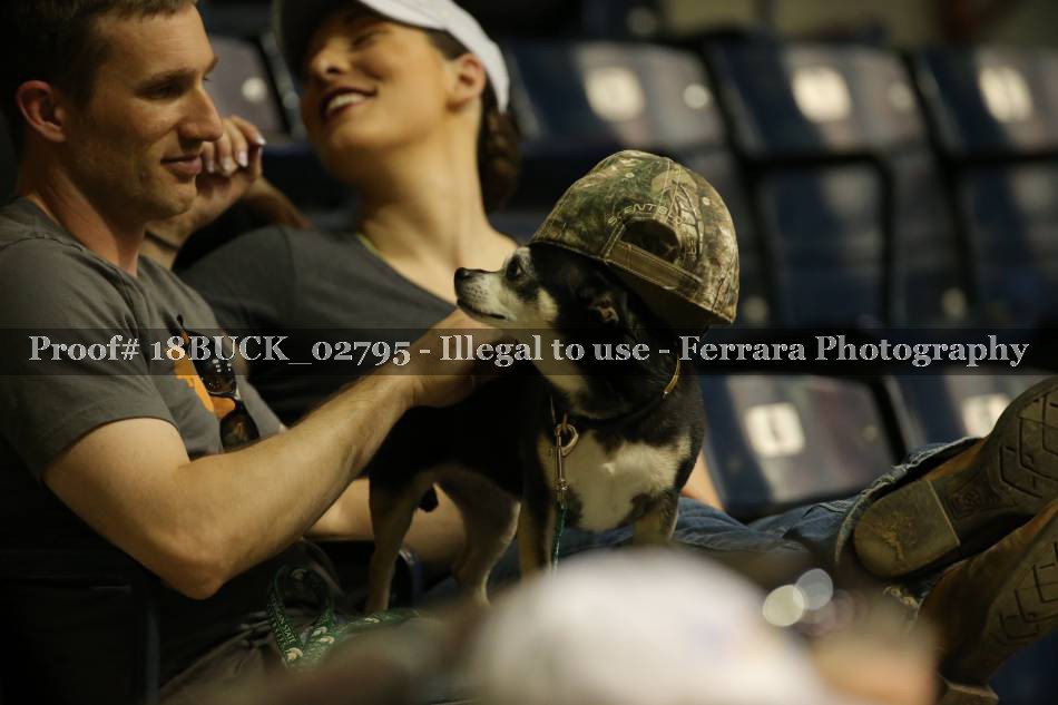 Proof 18BUCK_02795