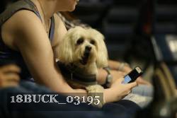 18BUCK_03195 proof