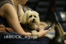 18BUCK_03196 proof