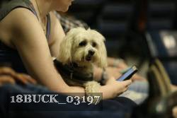 18BUCK_03197 proof
