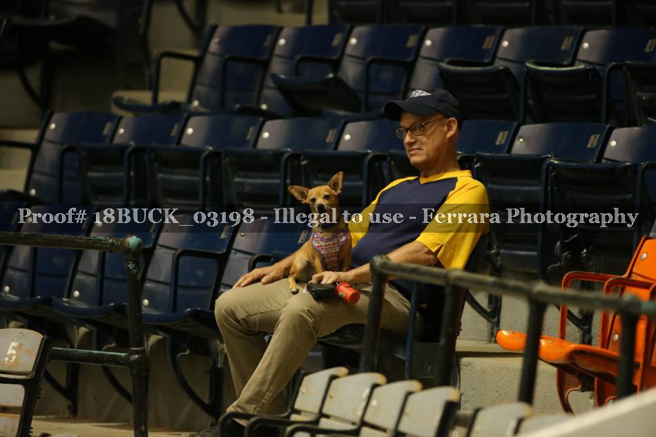 Proof 18BUCK_03198