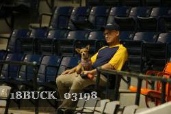 18BUCK_03198 proof