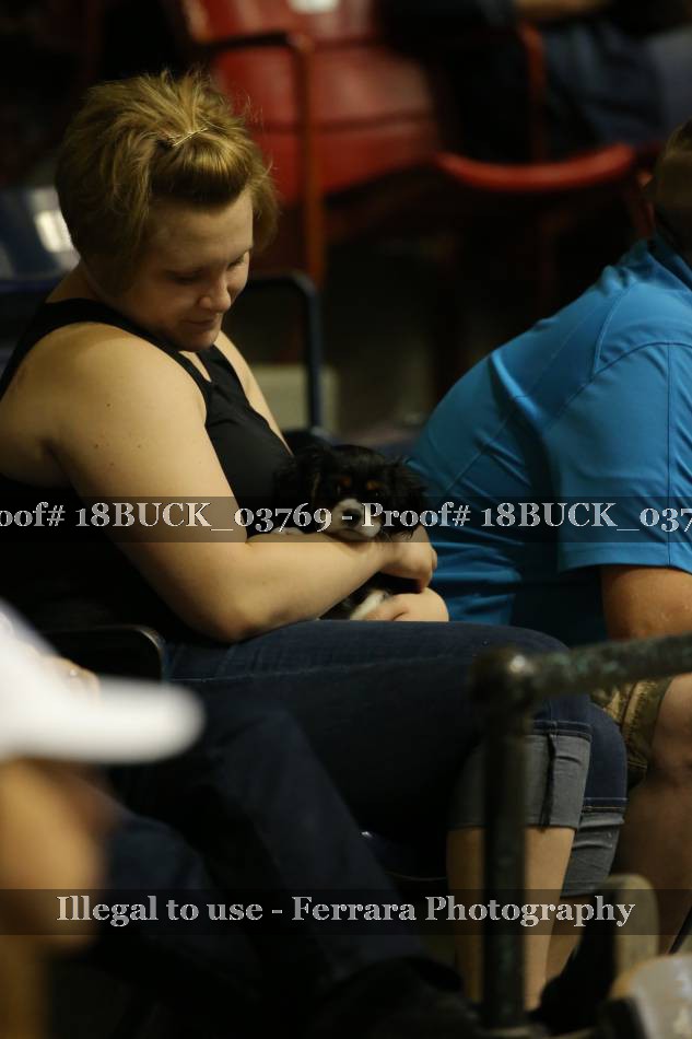 Proof 18BUCK_03769