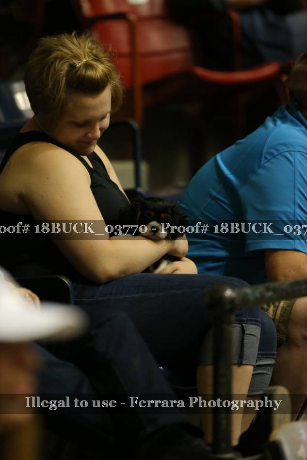 Proof 18BUCK_03770