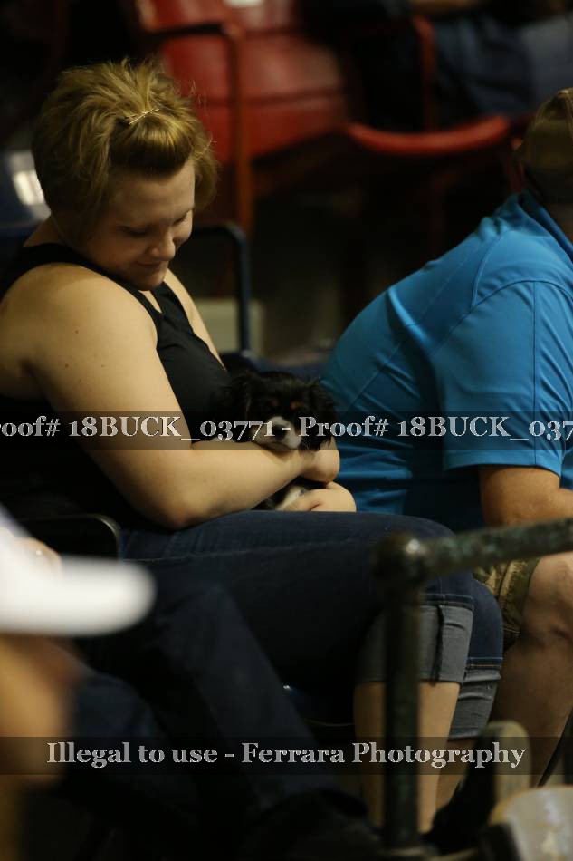 Proof 18BUCK_03771