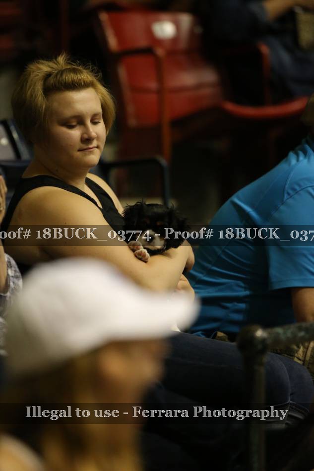 Proof 18BUCK_03774