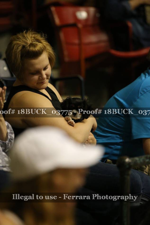 Proof 18BUCK_03775