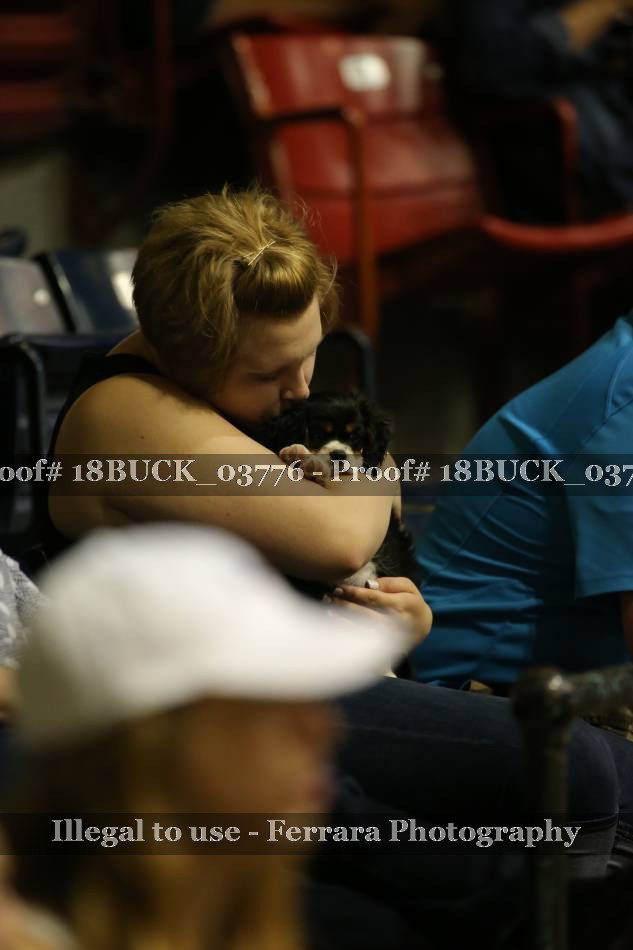 Proof 18BUCK_03776
