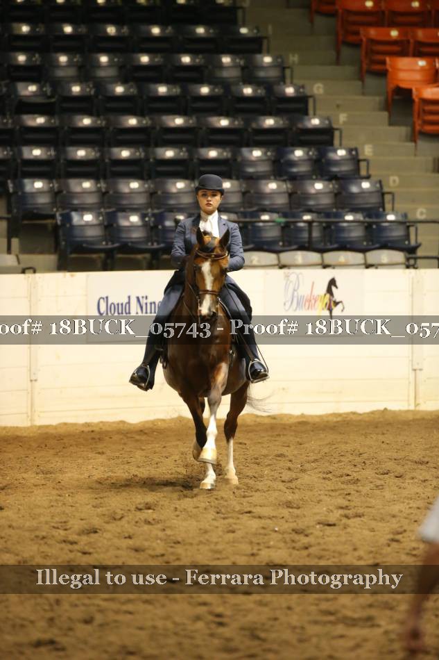 Proof 18BUCK_05743