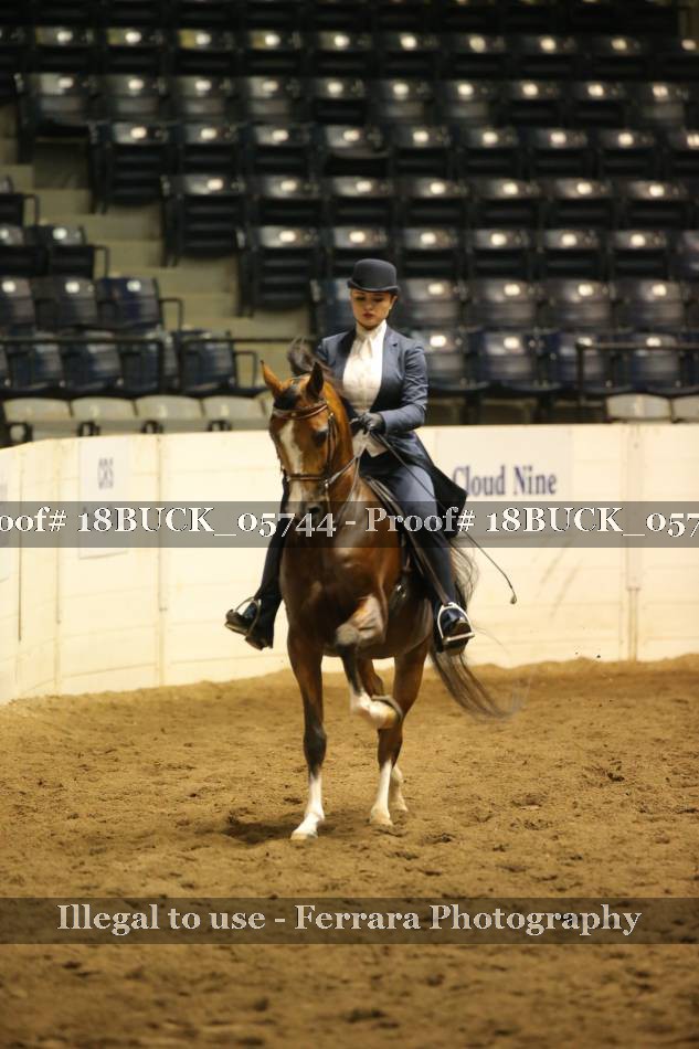 Proof 18BUCK_05744