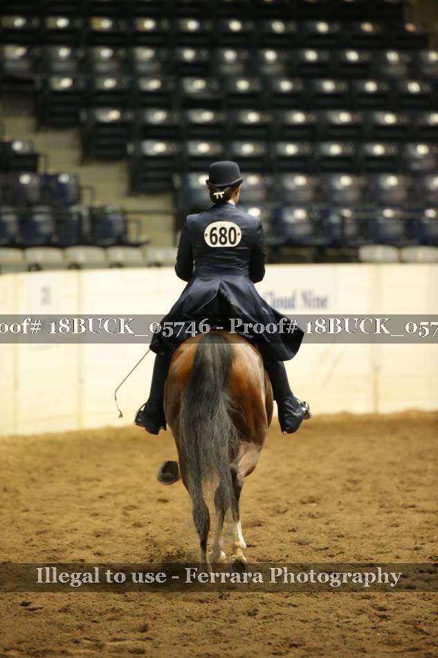 Proof 18BUCK_05746