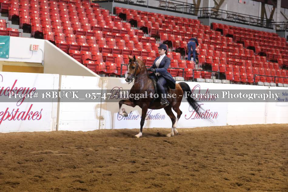 Proof 18BUCK_05747
