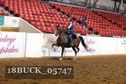 18BUCK_05747 proof