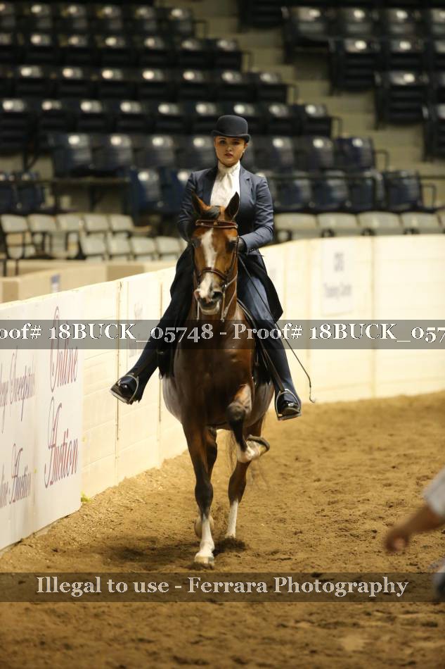 Proof 18BUCK_05748