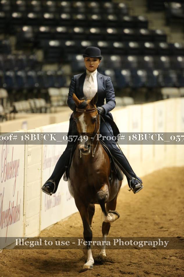 Proof 18BUCK_05749