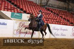 18BUCK_05750 proof