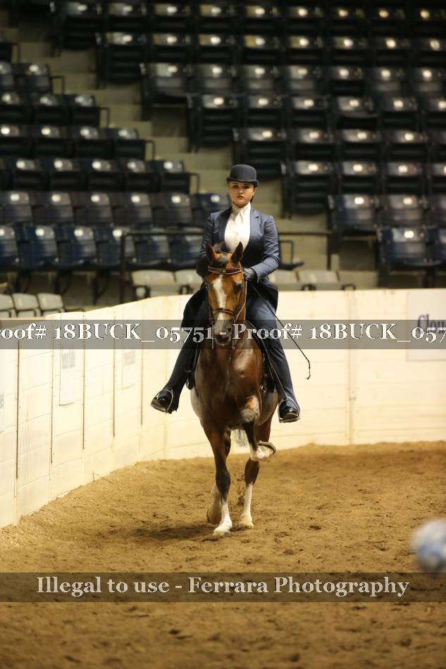 Proof 18BUCK_05751
