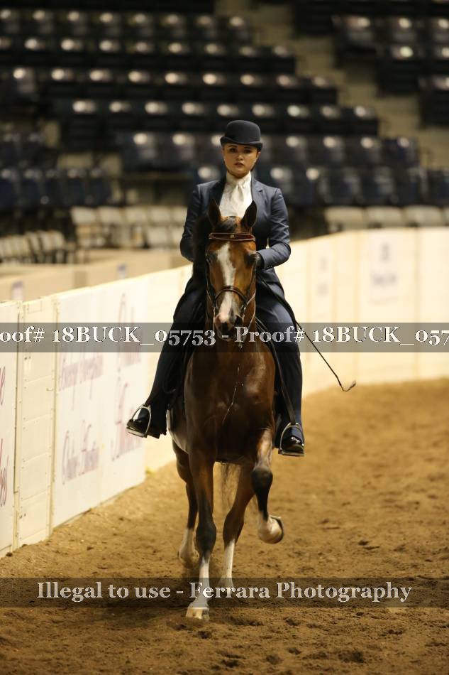 Proof 18BUCK_05753
