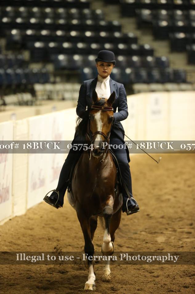 Proof 18BUCK_05754