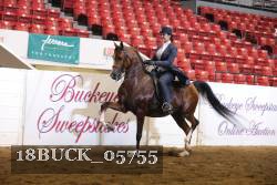 18BUCK_05755 proof