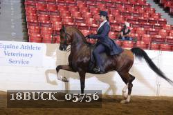 18BUCK_05756 proof