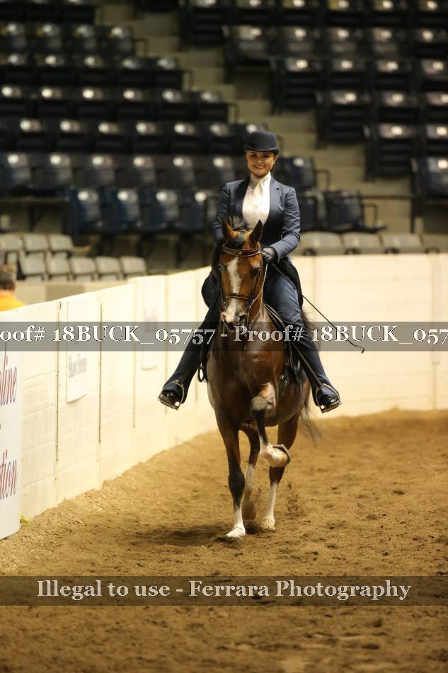 Proof 18BUCK_05757