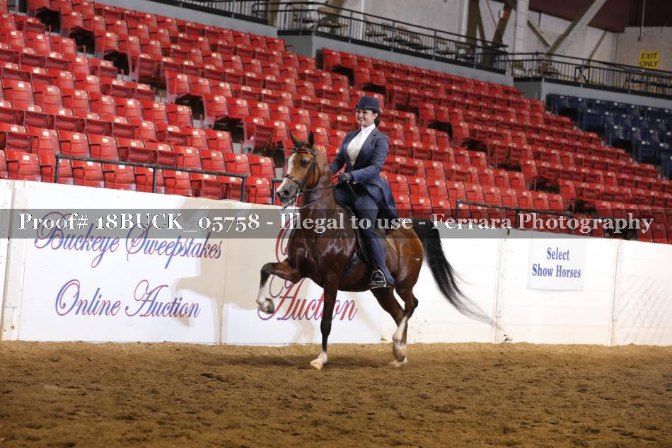 Proof 18BUCK_05758