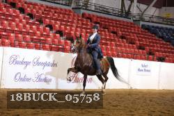 18BUCK_05758 proof