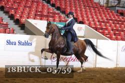 18BUCK_05759 proof