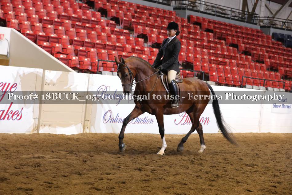Proof 18BUCK_05760