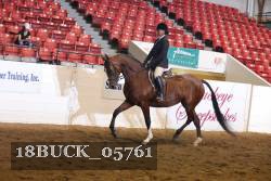 18BUCK_05761 proof