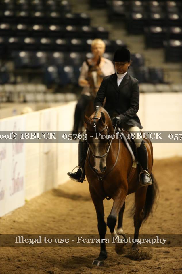 Proof 18BUCK_05763